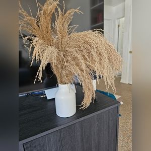 Pampass grass decor
